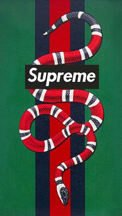 supreme wallpaper gucci|Supreme Gucci Wallpapers.